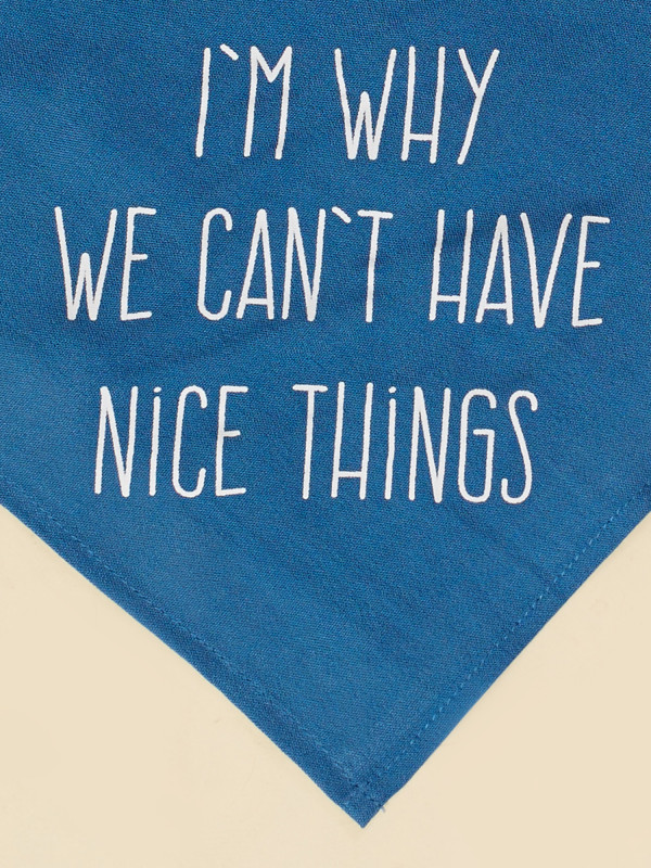 Altar’d State Furry Friends Bandana - Nice Things